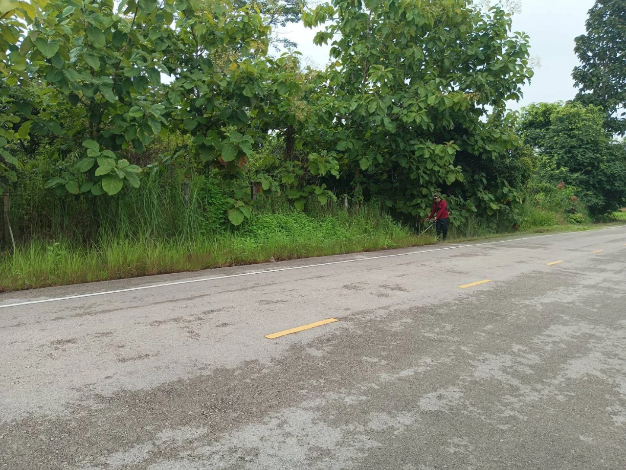 catalogs_file_940_15_42_195599.webp