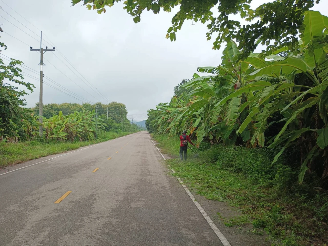 catalogs_file_940_15_42_196219.webp